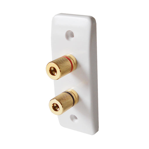 Speaker Module with 2 Gold Posts on Architrave Faceplate