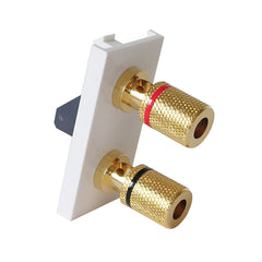 single speaker module with gold posts in white front