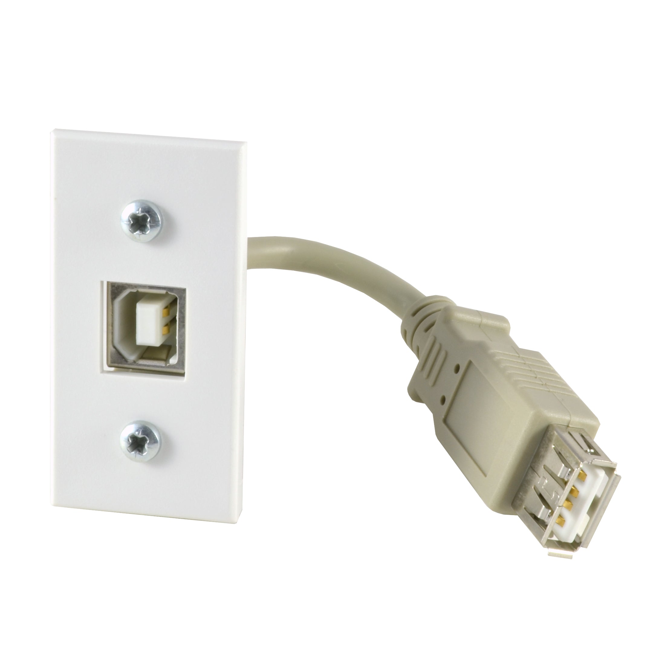 USB B module with tail white SX7016WH