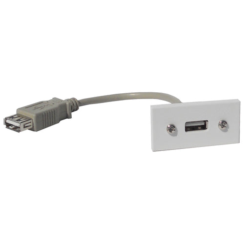 USB A module with tail white